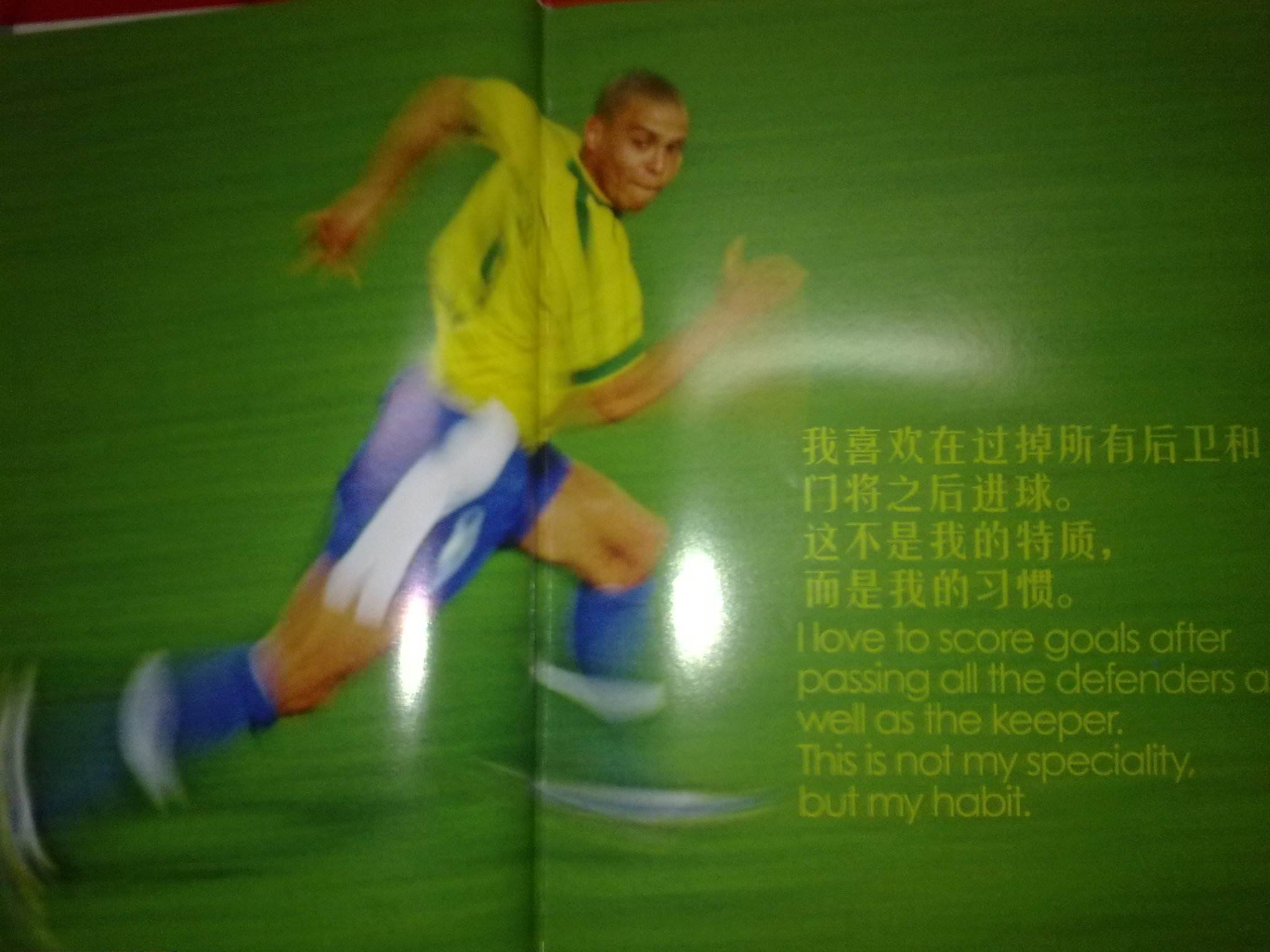 尼亚提供了