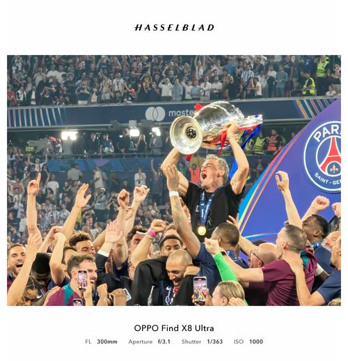 新老用户 新老用户